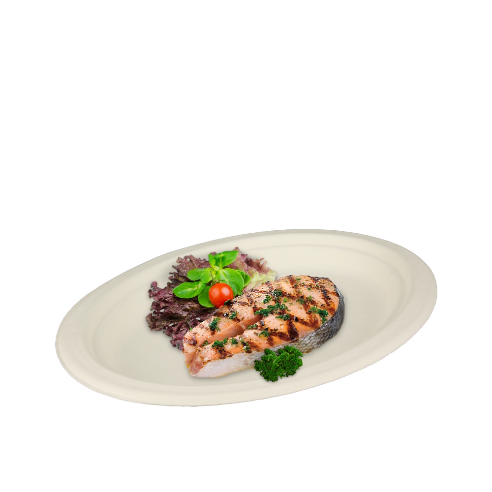 Bio Bagasse Teller weiß oval 26x19cm 500St