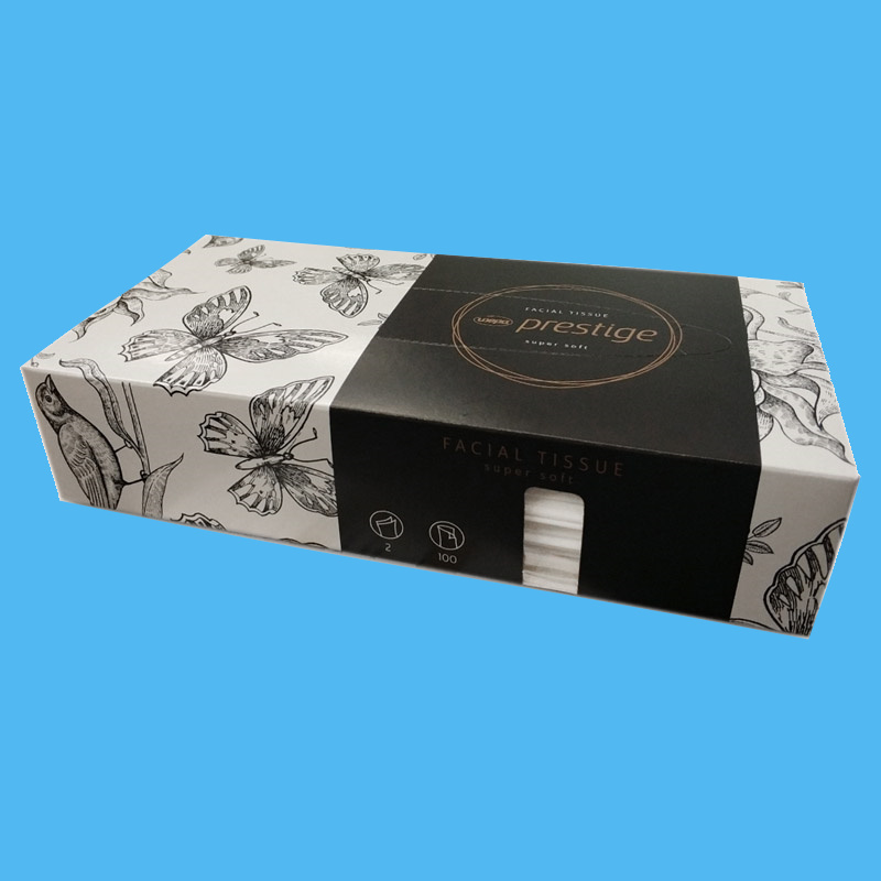 Kosmetiktücher 2-lagig weiß Tissue in Karton Spenderbox 40x100 im Karton
