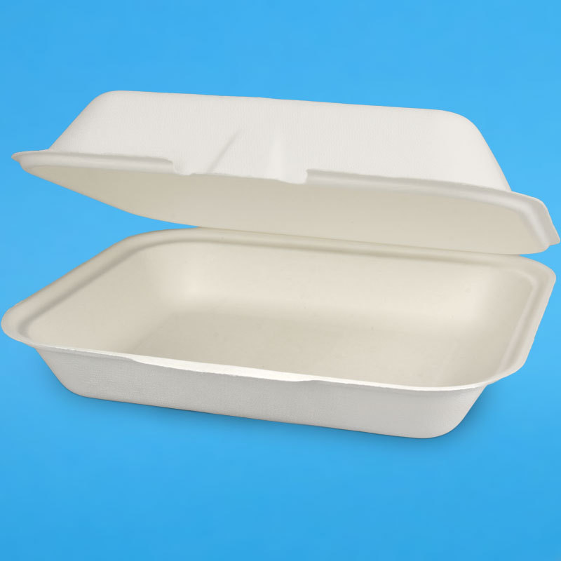 Bio Menüboxen Premium ungeteilt Zuckerrohr Bagasse weiß 240x200x80mm 200St