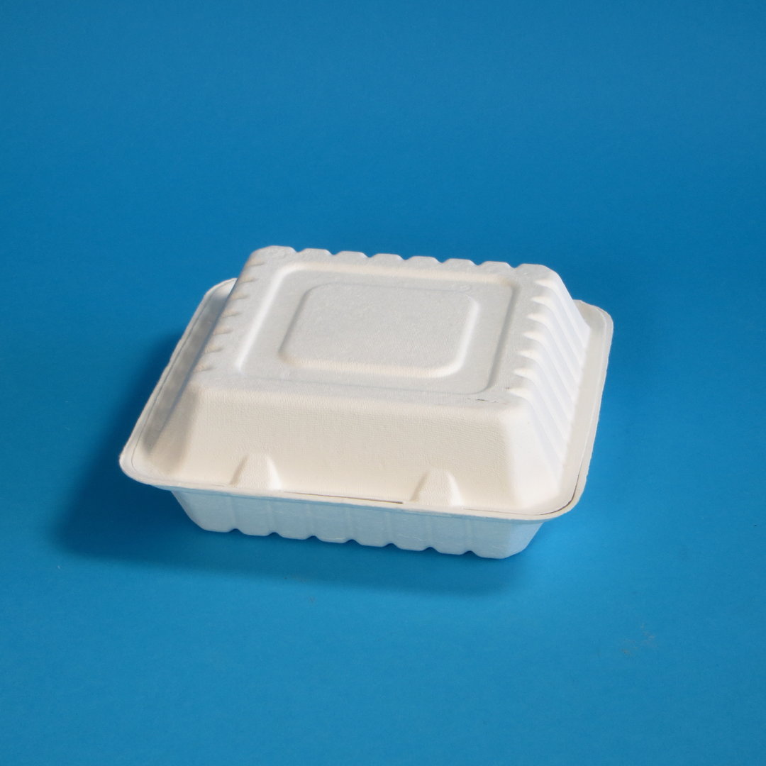 Bio Menübox Bagasse/Zuckerrohr XL ungeteilt weiß 236x231x81mm 200St