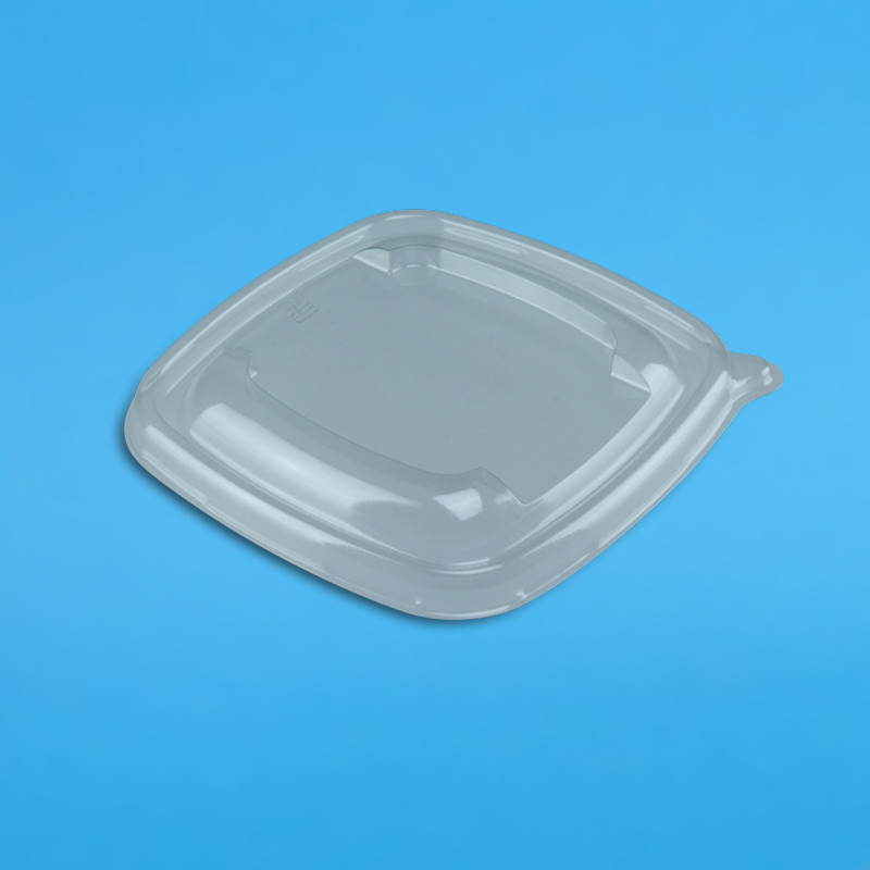 Bio Salatschalen "BePulp" Bagasse/Zuckerrohr quadratisch verschiedene Größen zur Auswahl
