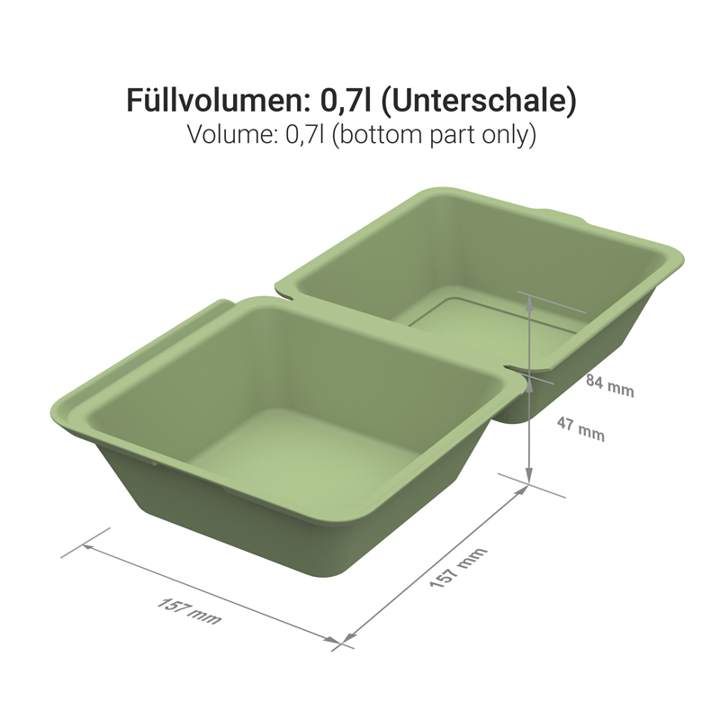 Mehrweg Hamburgerboxen 157x157x104mm PP Premium 50St. versch. Farben wählbar