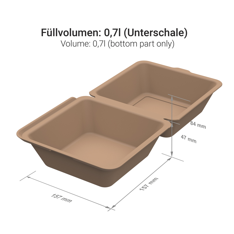 Mehrweg Hamburgerboxen 157x157x104mm PP Premium 50St. versch. Farben wählbar