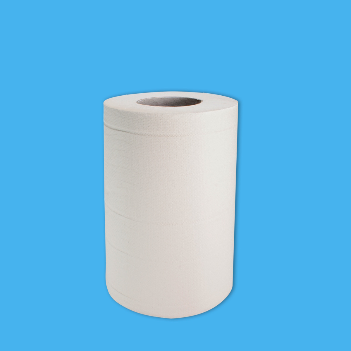 Papier Handtuchrollen weiß Mini Rolle 2-lagig 21cm breit 70m 12St.