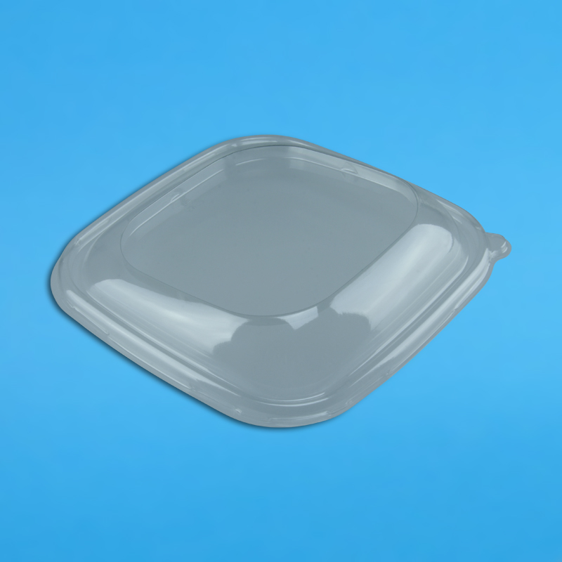 Bio Salatschalen "BePulp" Bagasse/Zuckerrohr quadratisch verschiedene Größen zur Auswahl