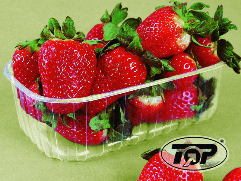 Beerenobst Schalen für 1000g PP transparent 1120St