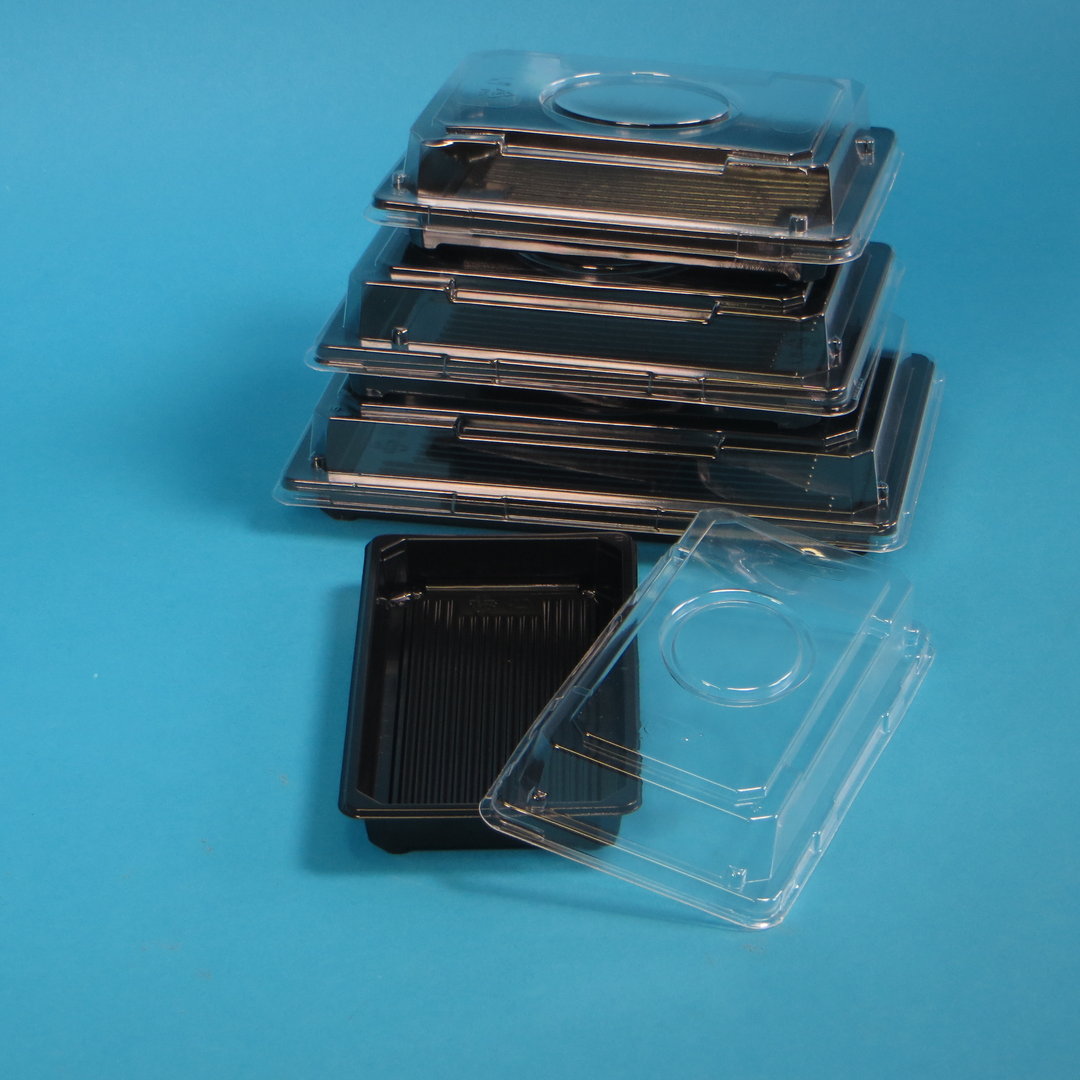 Sushi Trays mit Deckel Kombipack 255x185x58mm rPET recycelbar 200St