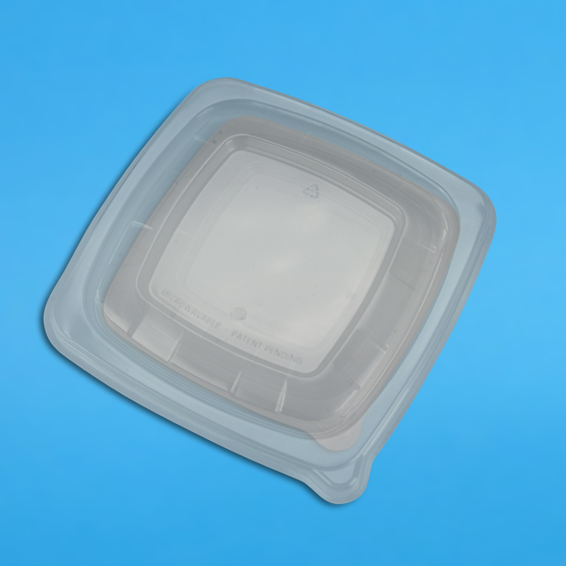 Bio Salatschalen "BePulp" Bagasse/Zuckerrohr quadratisch verschiedene Größen zur Auswahl