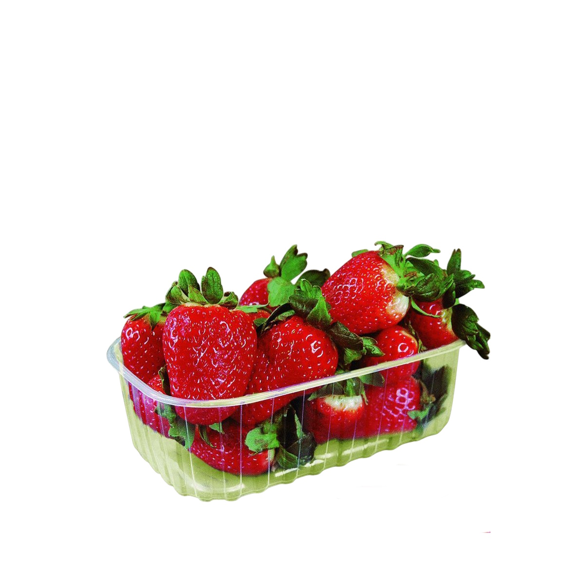 Beerenobst Schalen für 1000g PET recycelbar transparent 1120St