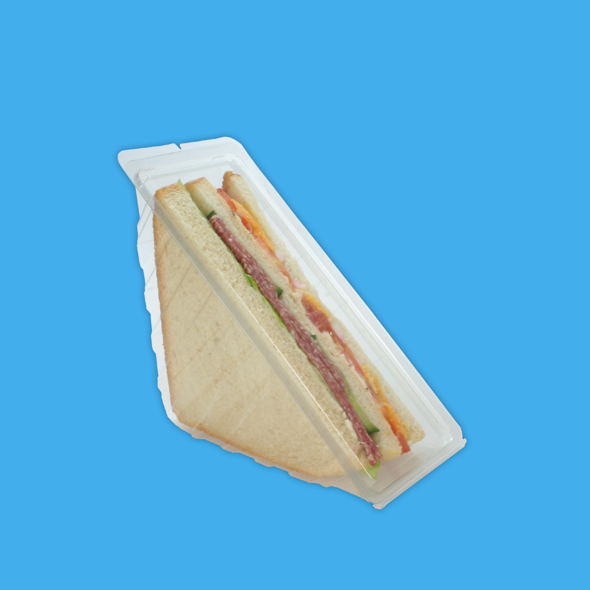 Sandwichboxen mit anh. Deckel klar für 3 Lagen 168x54x85mm PET recycelbar 980St