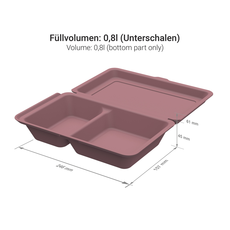 Mehrweg Menüboxen 2-geteilt 246x157x61mm PP Premium 50St. versch. Farben wählbar