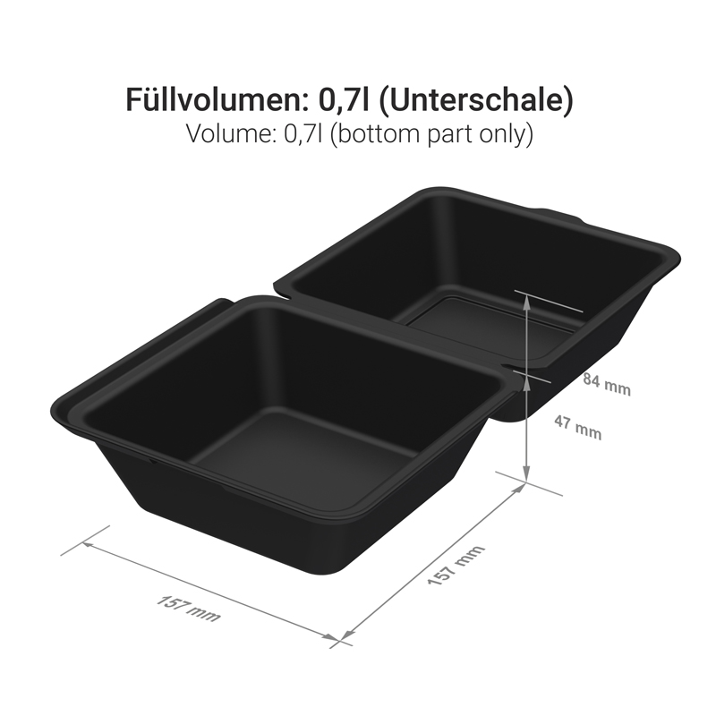 Mehrweg Hamburgerboxen 157x157x104mm PP Premium 50St. versch. Farben wählbar