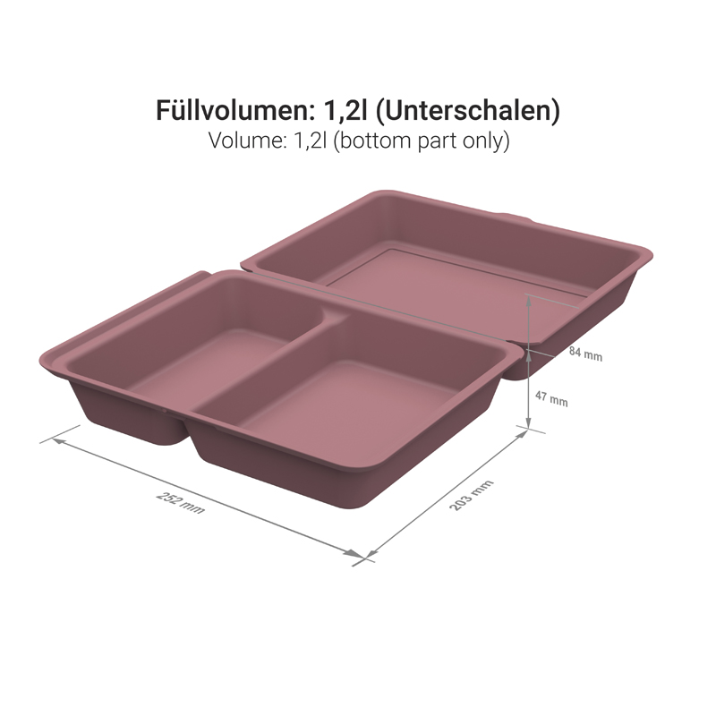 Mehrweg Menüboxen 2-geteilt XL 252x203x84mm PP Premium 25St. versch. Farben wählbar