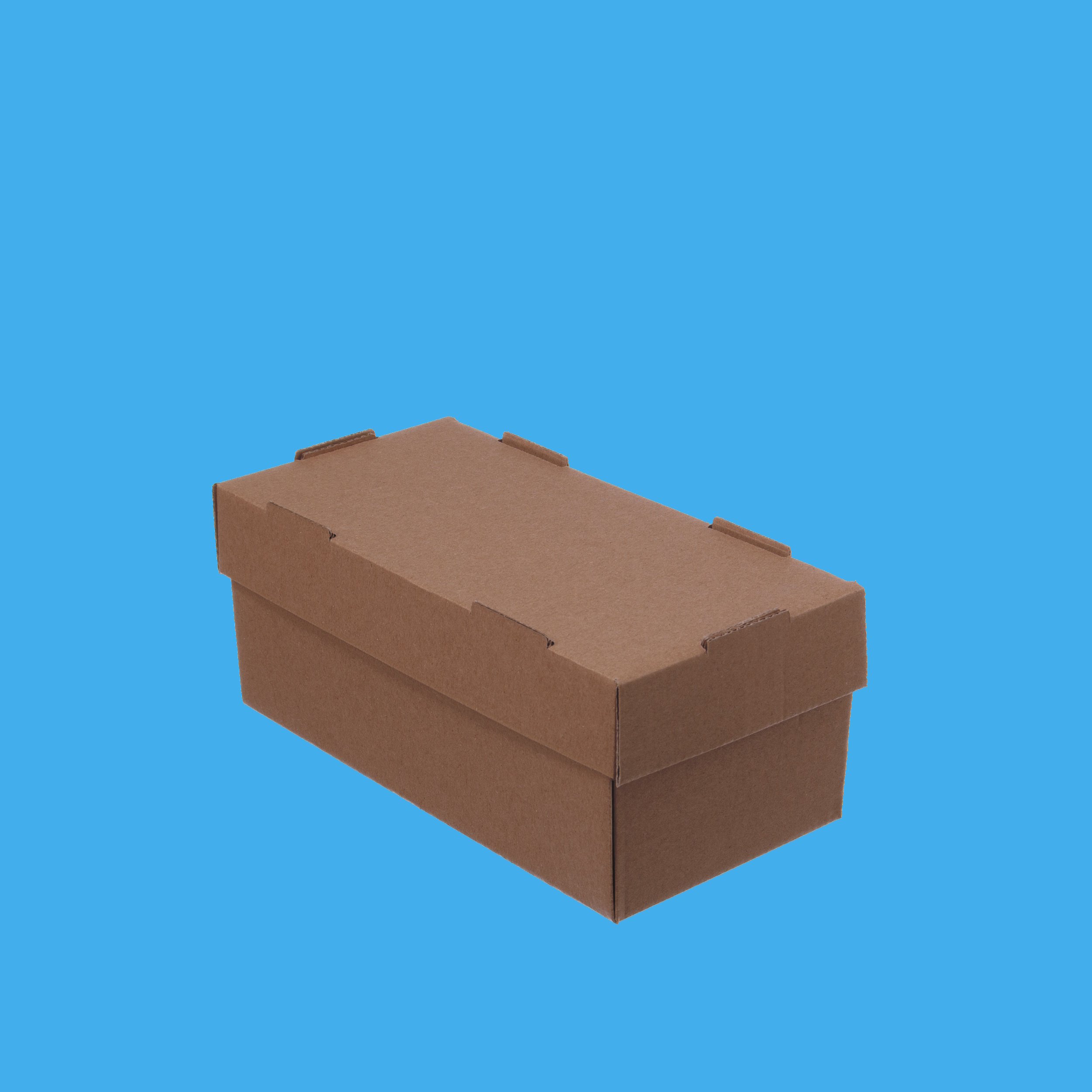 Bio Hamburgerboxen Doppelsnackbox 24x12x10cm einteilig Kraftkarton braun 100St.